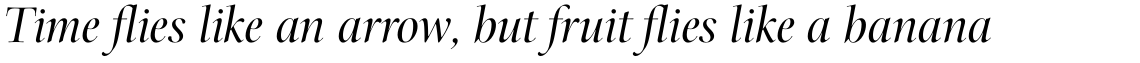 Arepo Pro Italic