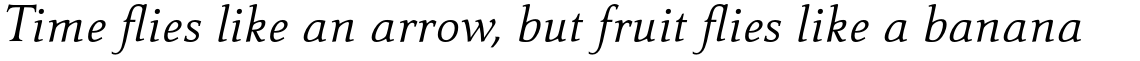 Carré Noir Pro Light Italic