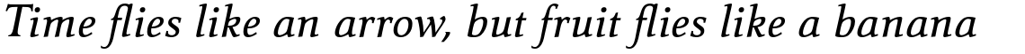 Carré Noir Pro Medium Italic