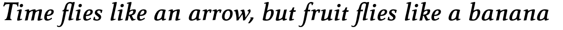 Carré Noir Pro Demi Italic