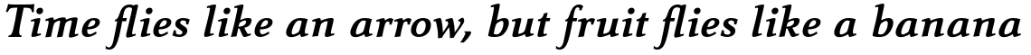 Carré Noir Pro Bold Italic
