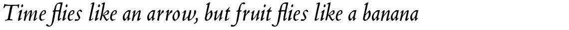 Blado Pro Italic