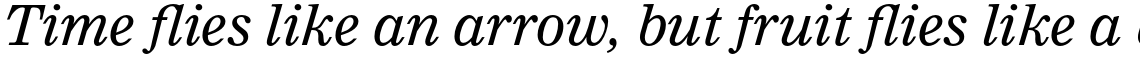 Clarion Pro Italic
