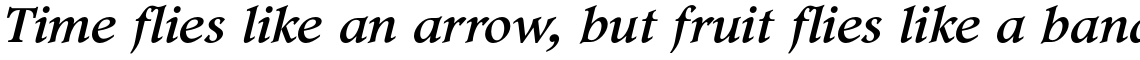 Footlight Pro Italic