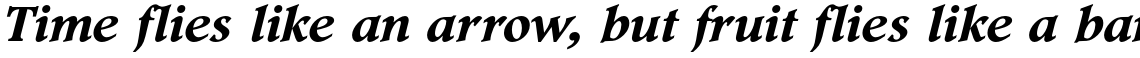 Footlight Pro Bold Italic
