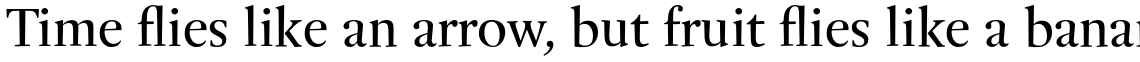 Buccardi Pro Regular