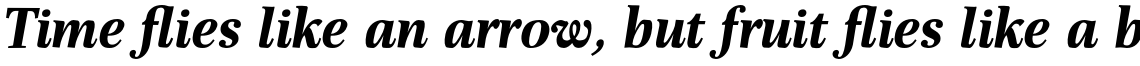 Buccardi Pro Bold Italic