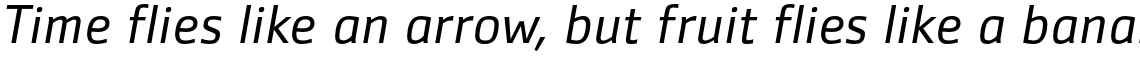 Zemestro Pro Book Italic