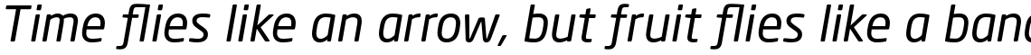 Neo Sans Pro Greek Regular Italic