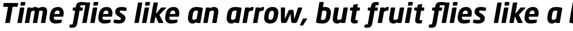 Neo Sans Pro Greek Bold Italic