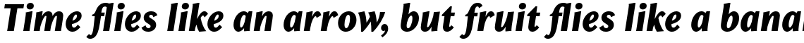 Chong Old Style Pro Extra Bold Italic