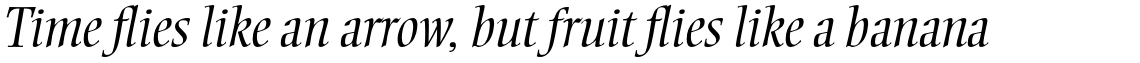 Ellington Pro Light Italic
