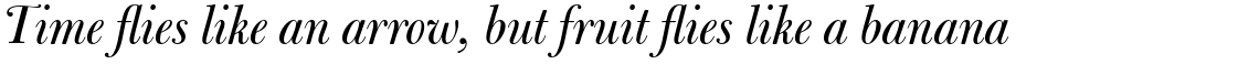 Bulmer Pro Italic Display