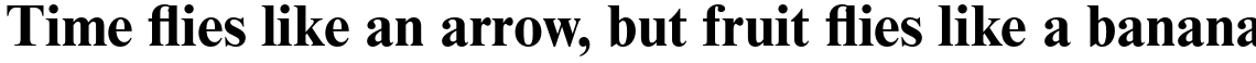 Times New Roman Pro Bold