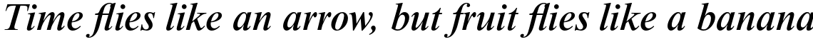 Times New Roman Pro Medium Italic