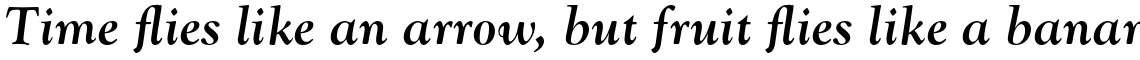 Monotype Goudy Pro Bold Italic