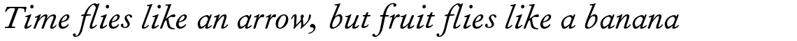 Fournier Pro Italic