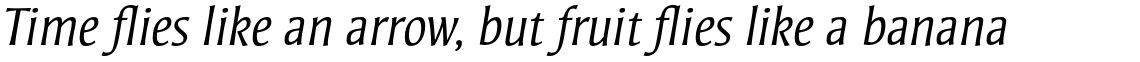Strayhorn Pro Light Italic