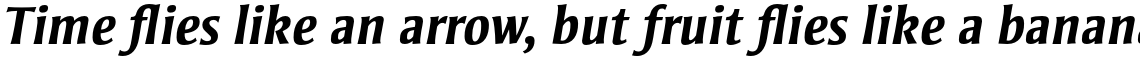 Strayhorn Pro Bold Italic