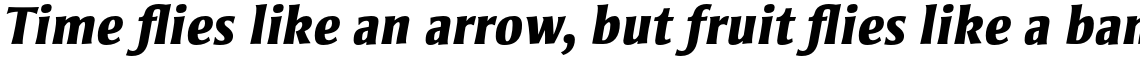 Strayhorn Pro Extra Bold Italic