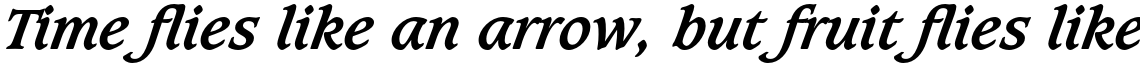 Caxton Std Bold Italic