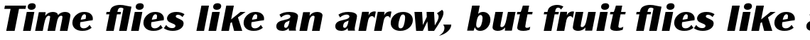 ITC Panache Std Black Italic