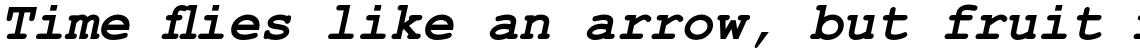 Courier PS Pro Cyrillic Bold Italic
