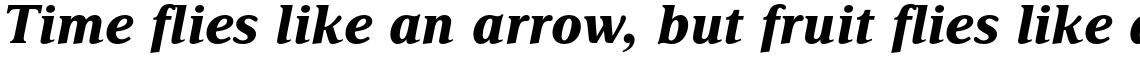 Delima Pro Bold Italic
