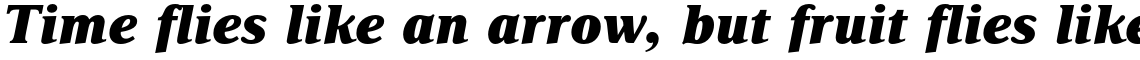 Delima Pro Extra Bold Italic