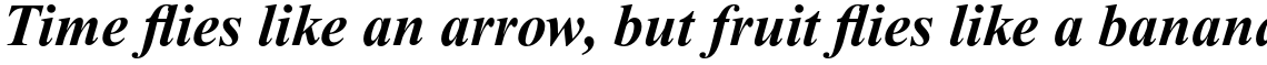 Times New Roman Pro PS Cyrillic Bold Italic