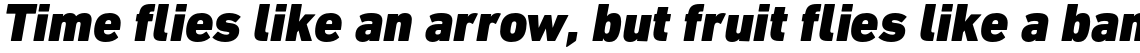 DIN Next Paneuropean Black Italic