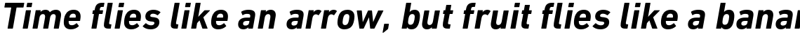 DIN Next Paneuropean Bold Italic