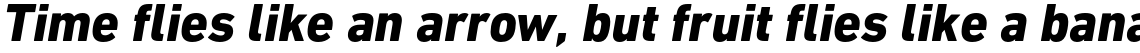 DIN Next Paneuropean Heavy Italic