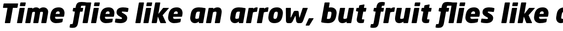 Neo Sans Paneuropean Black Italic