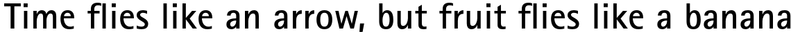 Rotis Sans Serif Paneuropean 65 Bold