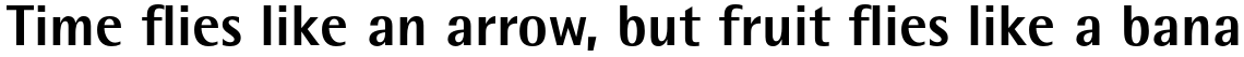 Rotis Semi Sans Paneuropean 75 Extra Bold