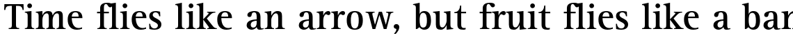 Rotis Serif Paneuropean 65 Bold