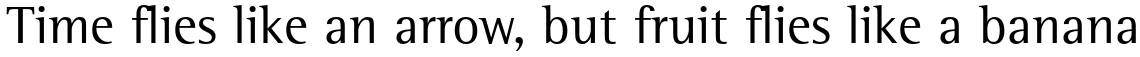 Rotis Semi Serif Paneuropean 55 Roman
