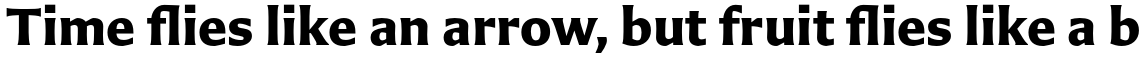 Carter Sans Pro Bold