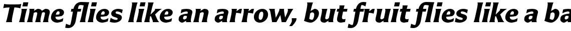 Carter Sans Pro Bold Italic