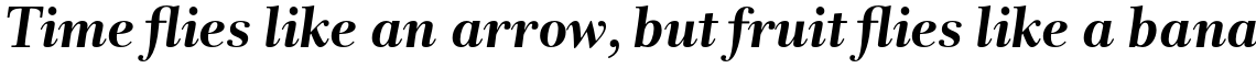 Rabenau Std Bold Italic