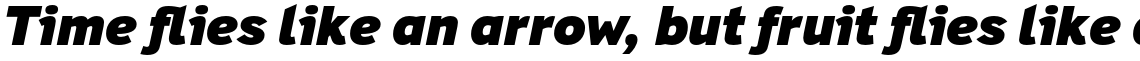 Felbridge Pro Black Italic