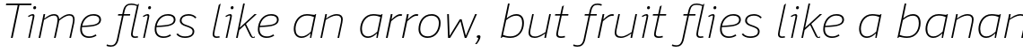 Felbridge Std Thin Italic