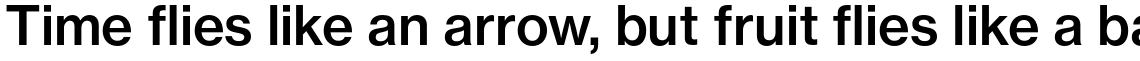 Neue Haas Grotesk Pro Text 65 Medium