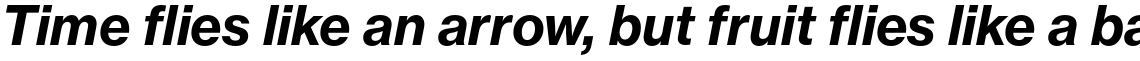 Neue Haas Grotesk Pro Text 76 Bold Italic