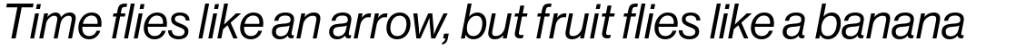 Neue Haas Grotesk Pro Display 56 Italic