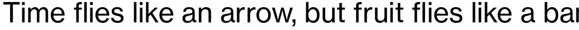 Neue Haas Grotesk Std Text 55 Roman
