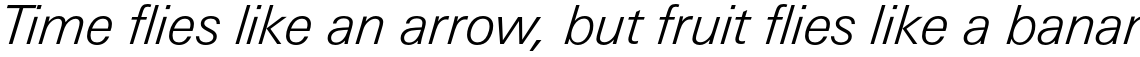 Univers Next Paneuropean 331 Light Italic