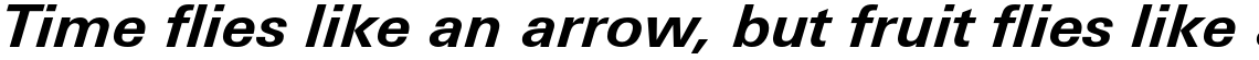 Univers Next Paneuropean 631 Bold Italic