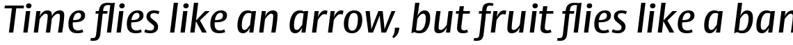 Big Vesta Pro Medium Italic